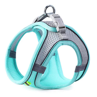 Comfort Fit Harness Set for Dogs and Cats